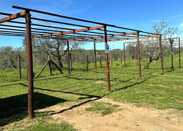 Agriturismo Poggio Degli Ulivi