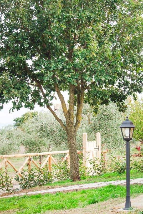 Poggio Degli Ulivi Vakantieboerderij Bomarzo