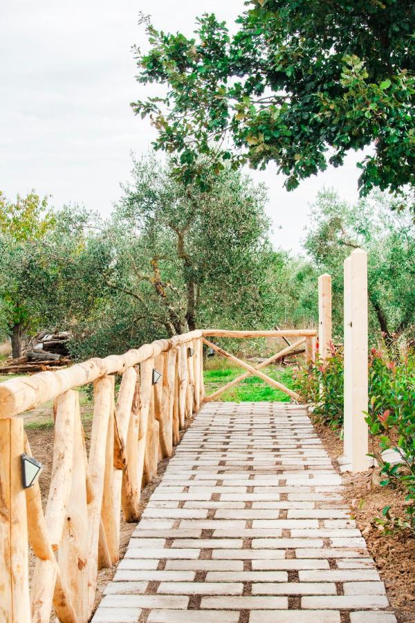 Poggio Degli Ulivi Vakantieboerderij *