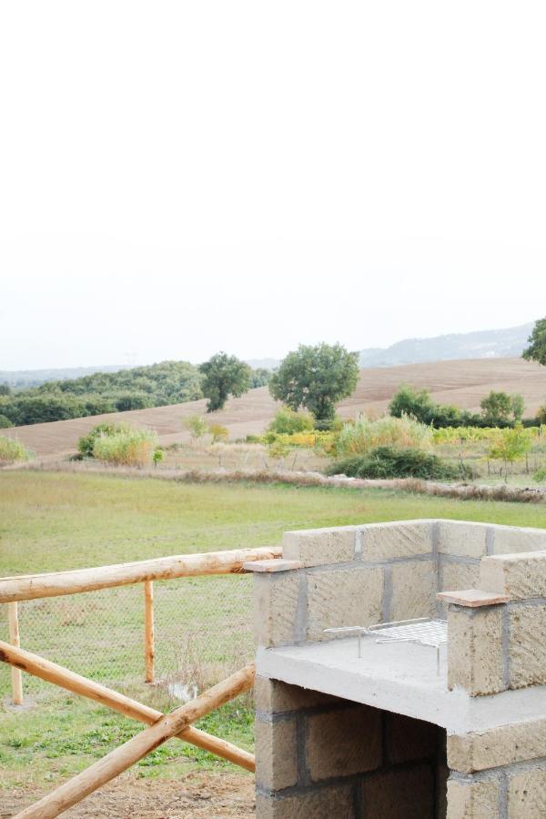 Alloggio per agriturismo Poggio Degli Ulivi