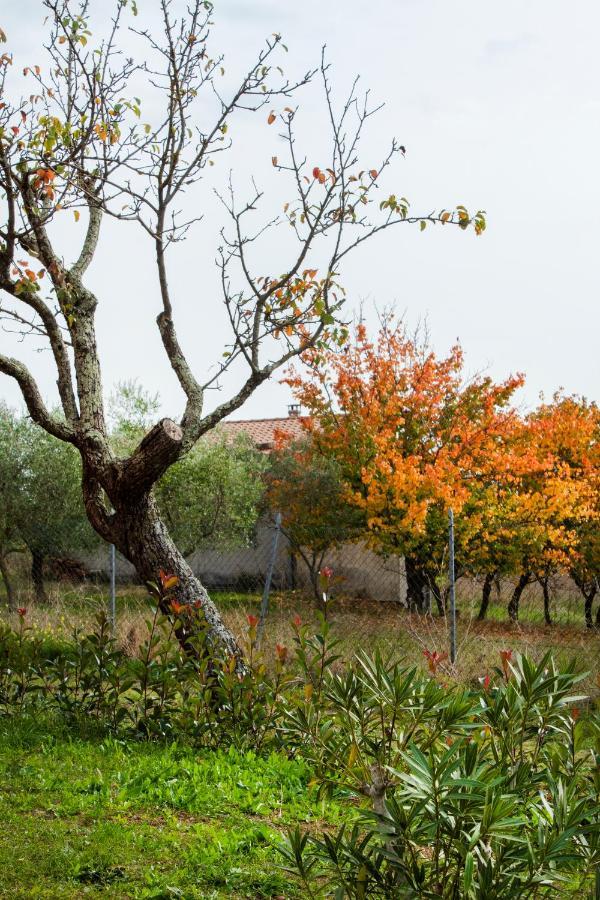 Poggio Degli Ulivi Vakantieboerderij