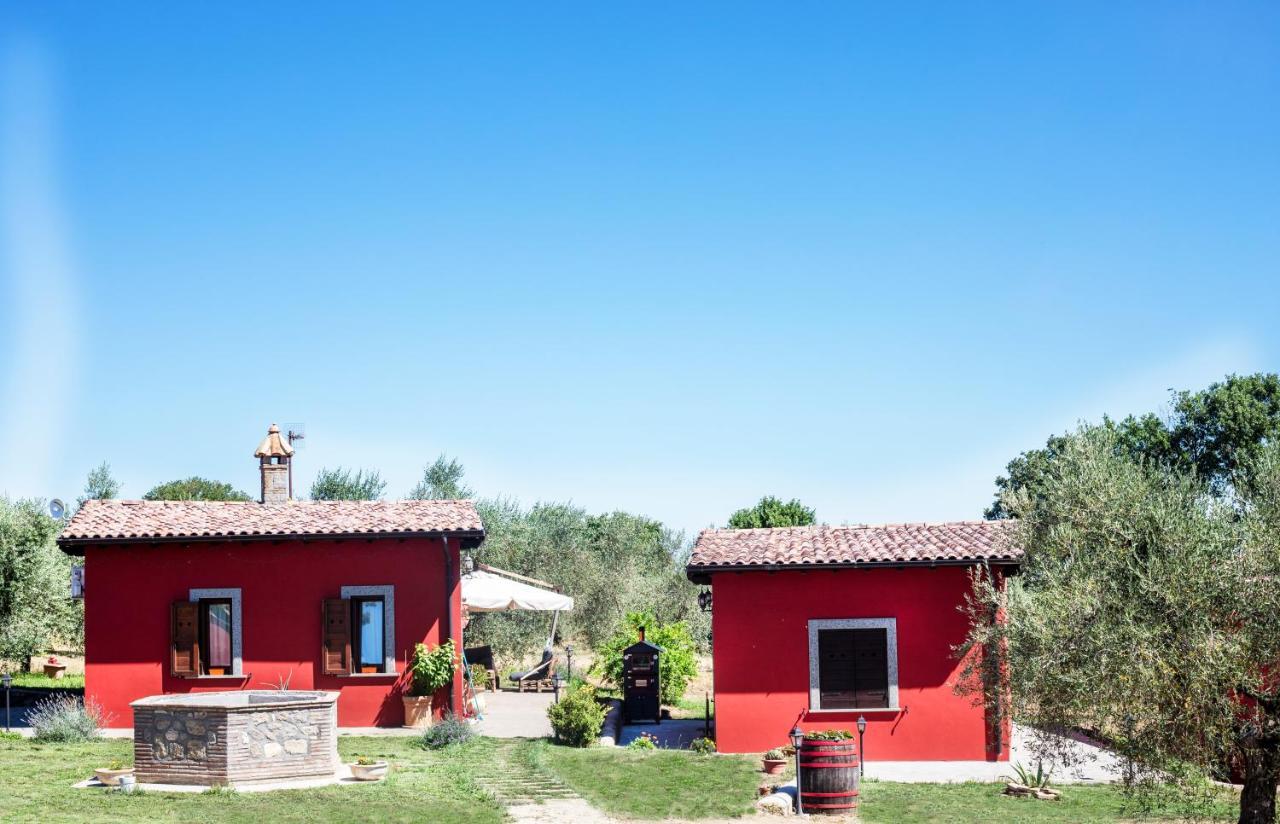 Alloggio per agriturismo Poggio Degli Ulivi