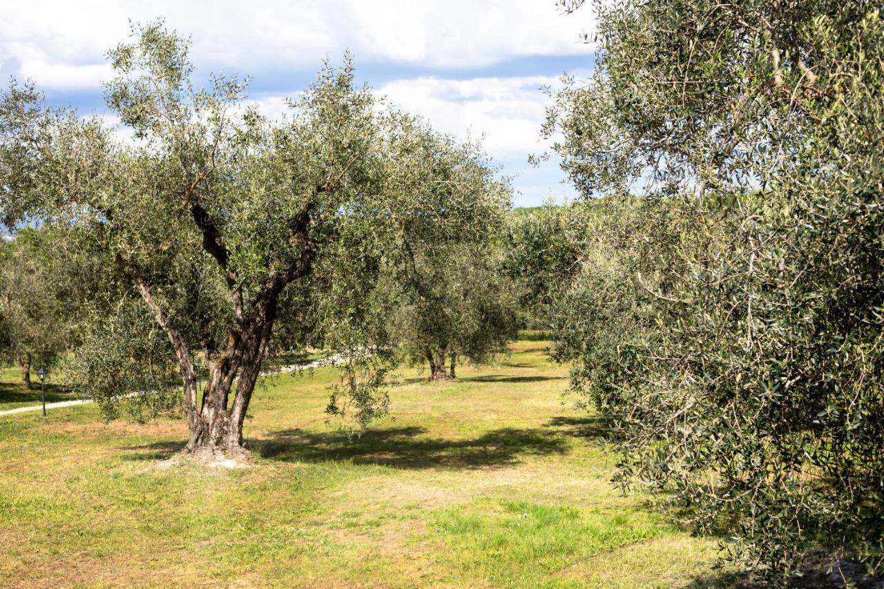 Poggio Degli Ulivi *