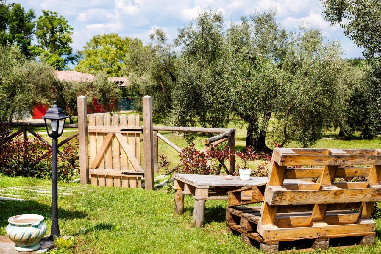 Poggio Degli Ulivi