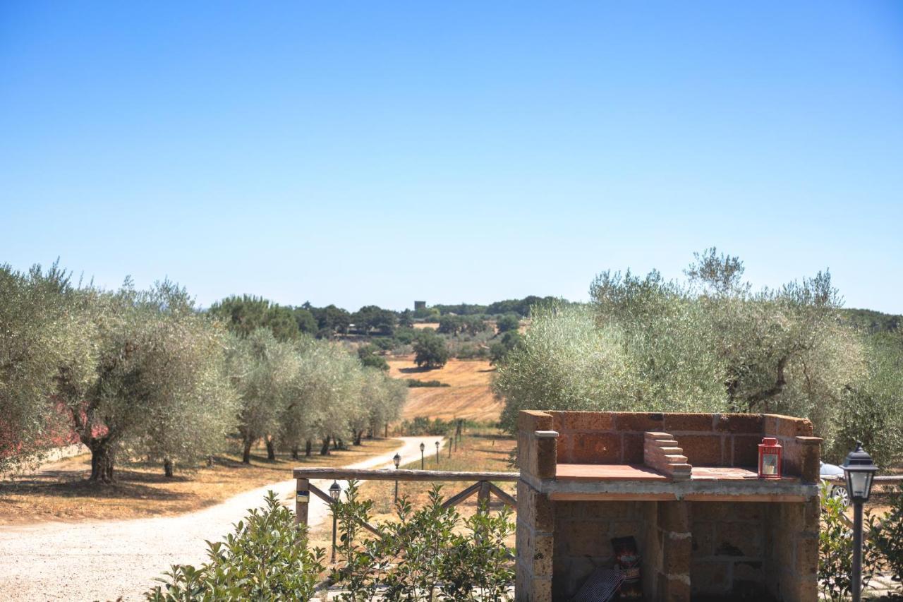 Alloggio per agriturismo Poggio Degli Ulivi *