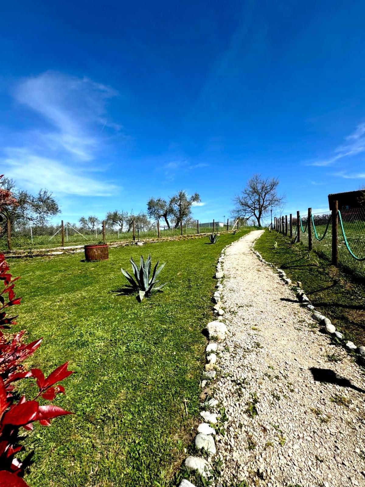 Alloggio per agriturismo Poggio Degli Ulivi *