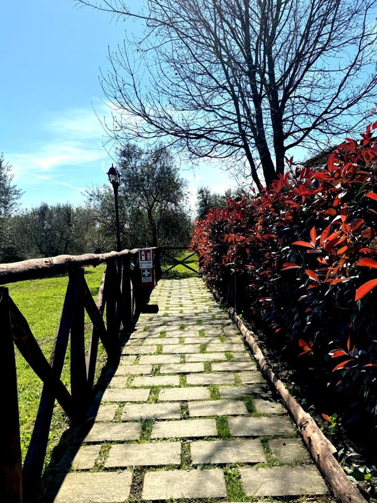 Poggio Degli Ulivi