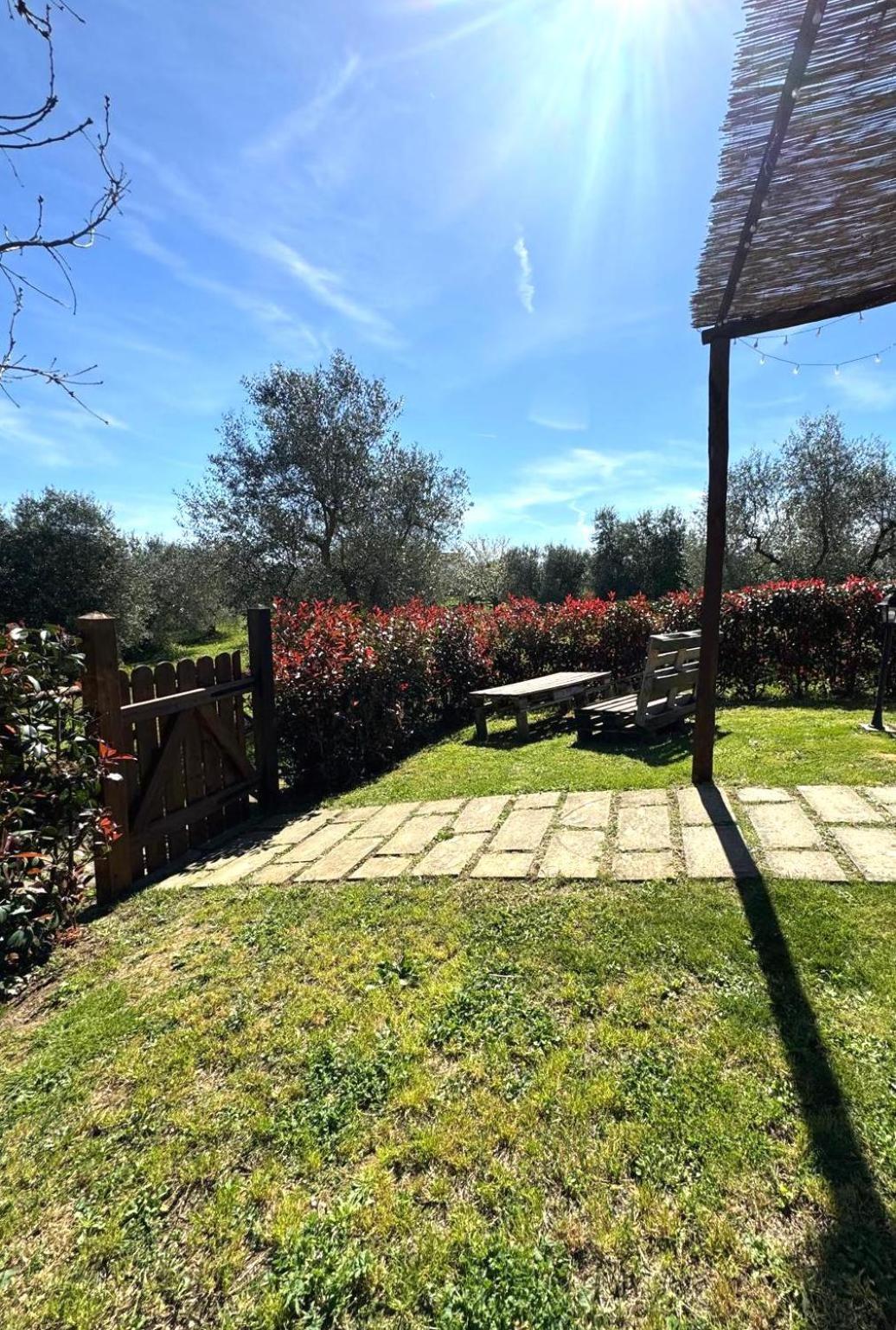 Poggio Degli Ulivi Alloggio per agriturismo